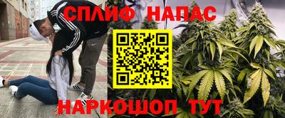 PSILOCYBIN Азнакаево