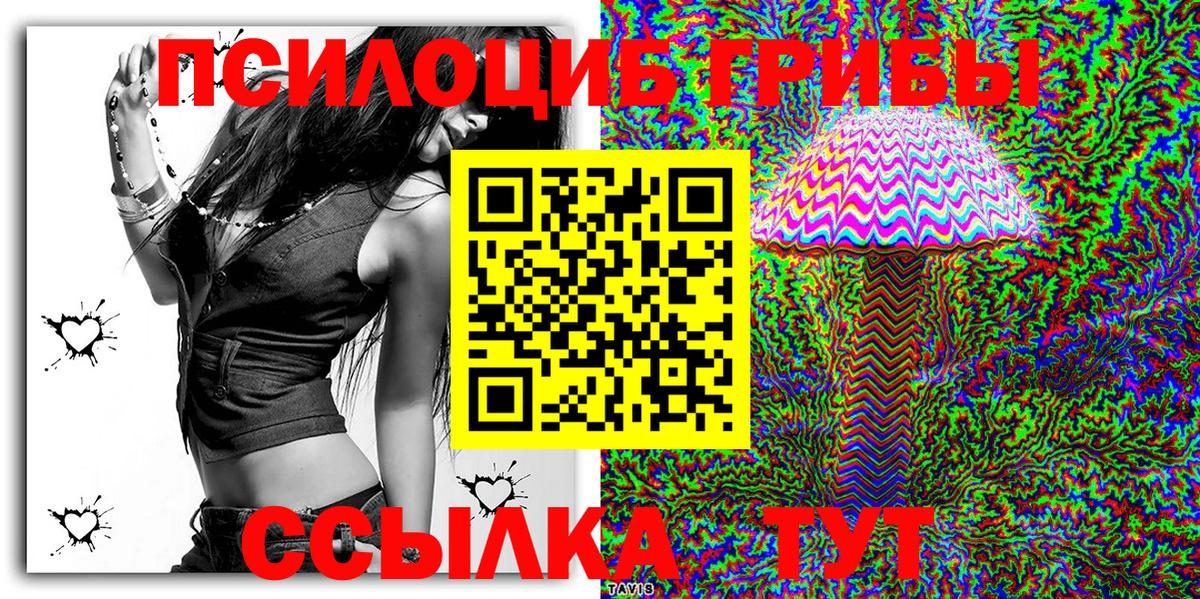 Псилоцибиновые грибы Psilocybe Анапа